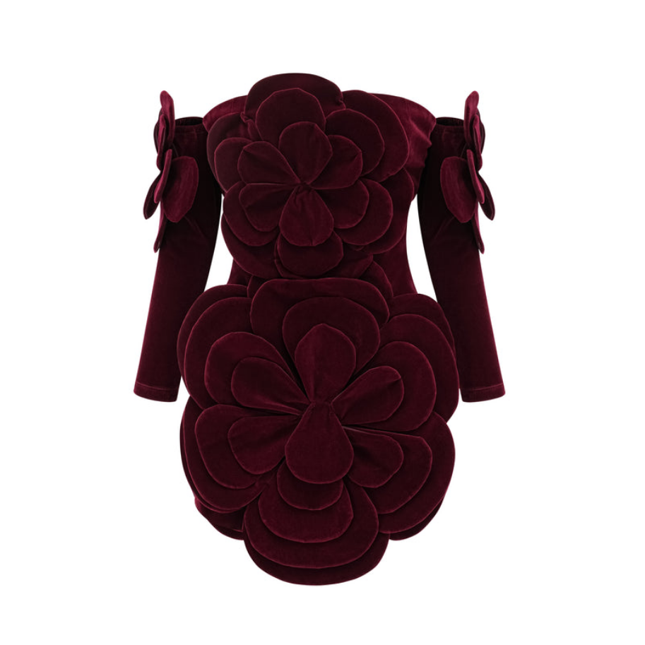 Céline Rouge – Off-the-shoulder mini dress with floral appliqués