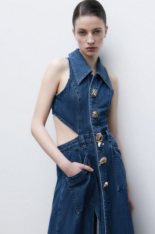 Savanna Blue Denim Dress