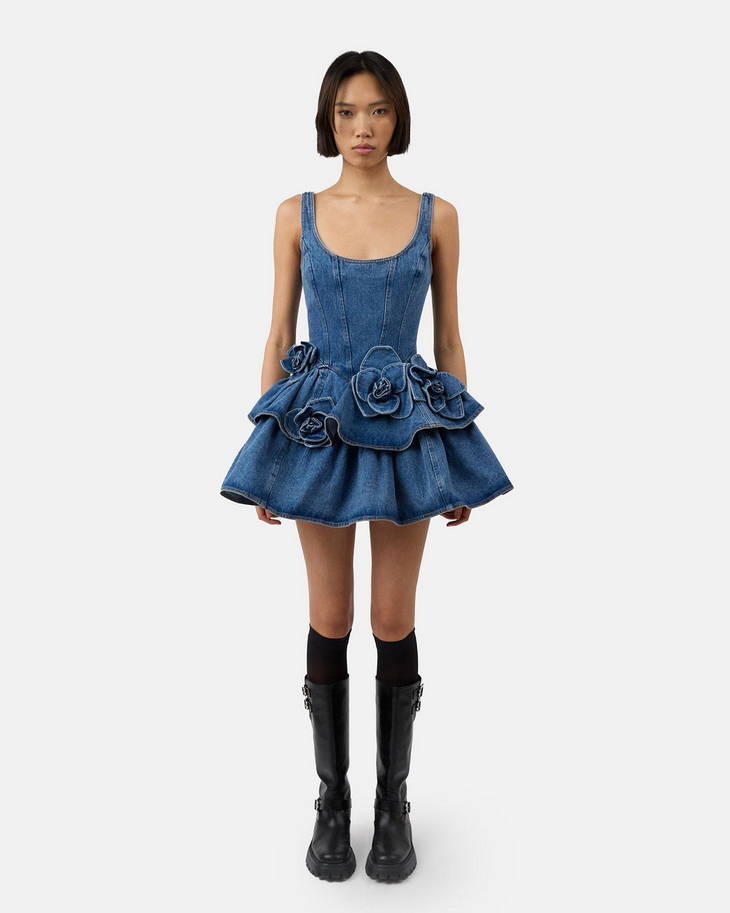 Fiora denim dress 